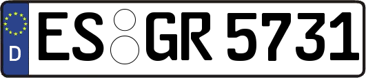 ES-GR5731