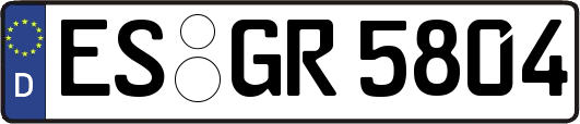 ES-GR5804