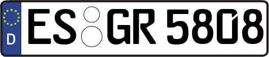 ES-GR5808
