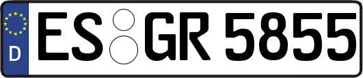 ES-GR5855
