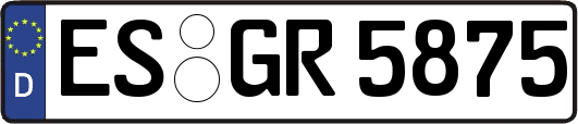 ES-GR5875