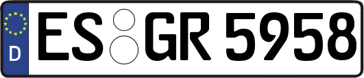 ES-GR5958