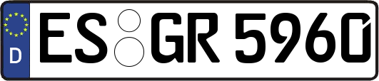 ES-GR5960