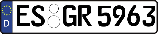 ES-GR5963