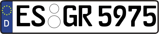 ES-GR5975