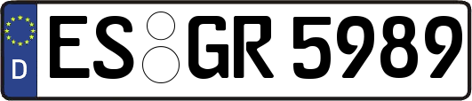 ES-GR5989