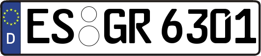 ES-GR6301