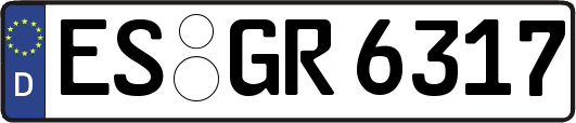 ES-GR6317