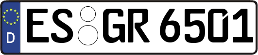 ES-GR6501