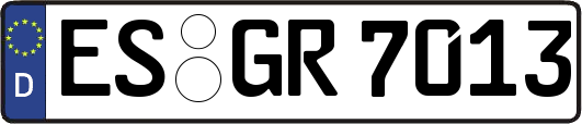 ES-GR7013