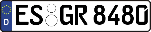 ES-GR8480