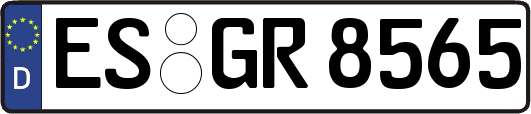 ES-GR8565