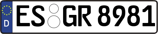 ES-GR8981