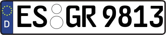 ES-GR9813