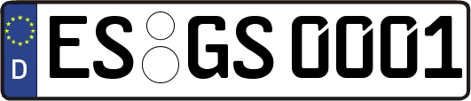 ES-GS0001