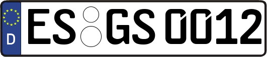 ES-GS0012