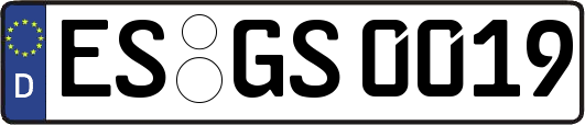 ES-GS0019