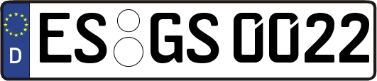 ES-GS0022