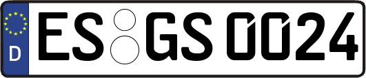 ES-GS0024