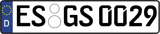 ES-GS0029