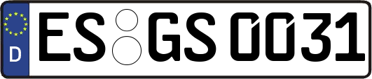 ES-GS0031