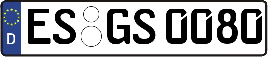 ES-GS0080
