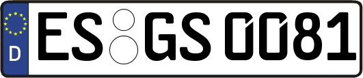 ES-GS0081