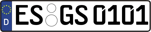ES-GS0101