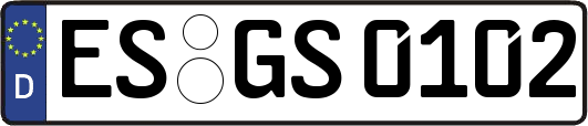 ES-GS0102