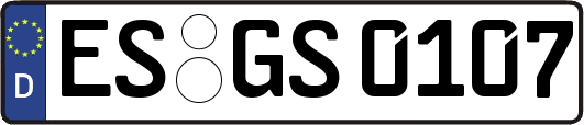 ES-GS0107