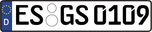ES-GS0109