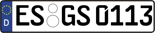 ES-GS0113
