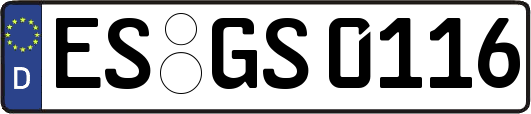 ES-GS0116