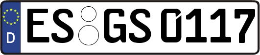 ES-GS0117