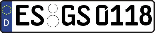 ES-GS0118