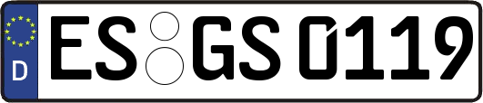 ES-GS0119