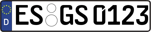 ES-GS0123