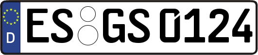 ES-GS0124