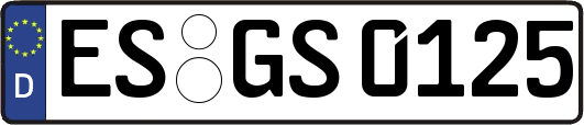 ES-GS0125