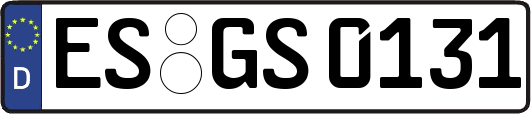 ES-GS0131