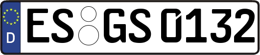 ES-GS0132