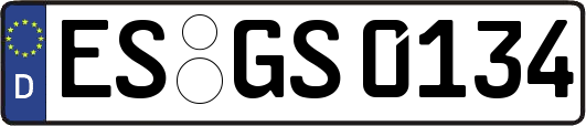 ES-GS0134