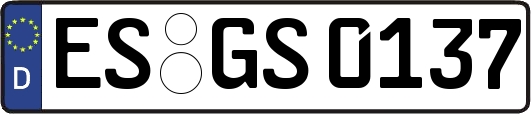 ES-GS0137