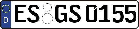 ES-GS0155