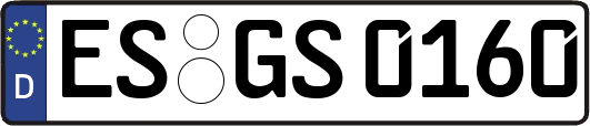 ES-GS0160