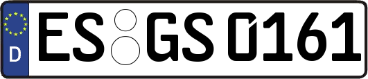 ES-GS0161