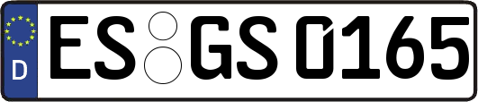 ES-GS0165
