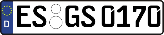 ES-GS0170
