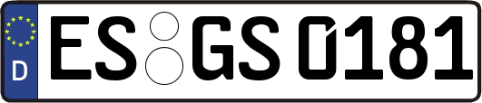 ES-GS0181