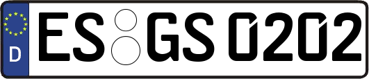 ES-GS0202